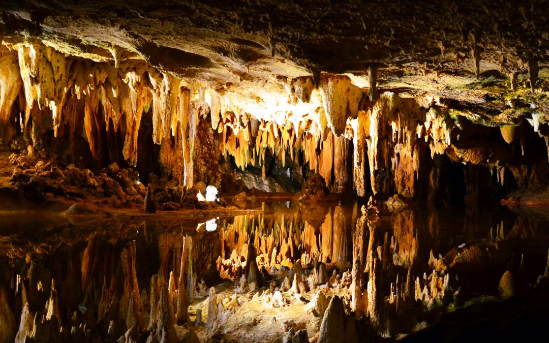 Caves of Camuy Excursion and Arecibo Observatory